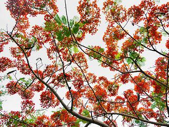 《密特罗德：生存恐惧》开发商正开发两款未公开大作